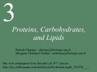 grade 11 biomolecules.pdf